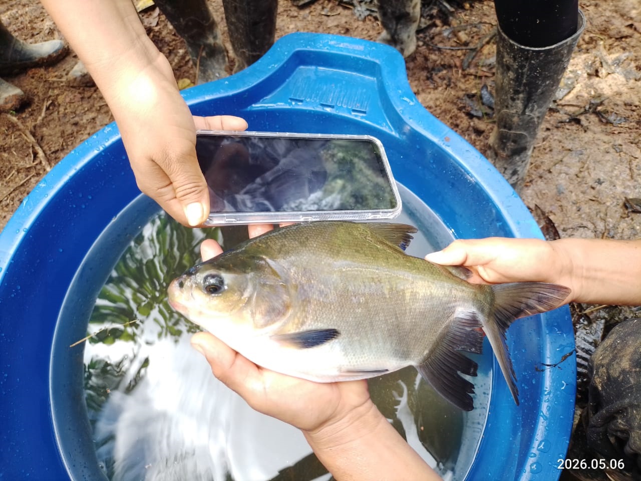 🐟 ¡𝐆𝐫𝐚𝐧 𝐣𝐨𝐫𝐧𝐚𝐝𝐚 𝐝𝐞 𝐚𝐩𝐫𝐞𝐧𝐝𝐢𝐳𝐚𝐣𝐞 𝐞𝐧 𝐞𝐥 𝐈𝐄𝐒𝐓𝐏 "𝐋𝐞𝐨𝐧𝐢𝐝𝐚𝐬 𝐋𝐨́𝐩𝐞𝐳 𝐂𝐡𝐢𝐜𝐡𝐚𝐞"! 🐟